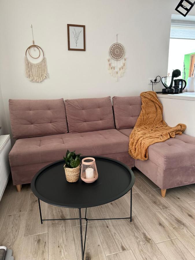 Mr. Sowa Sokolec Appartement Ludwikowice Kłodzkie Buitenkant foto