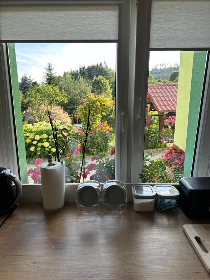 Mr. Sowa Sokolec Appartement Ludwikowice Kłodzkie Buitenkant foto