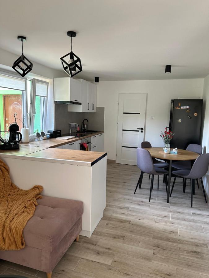 Mr. Sowa Sokolec Appartement Ludwikowice Kłodzkie Buitenkant foto