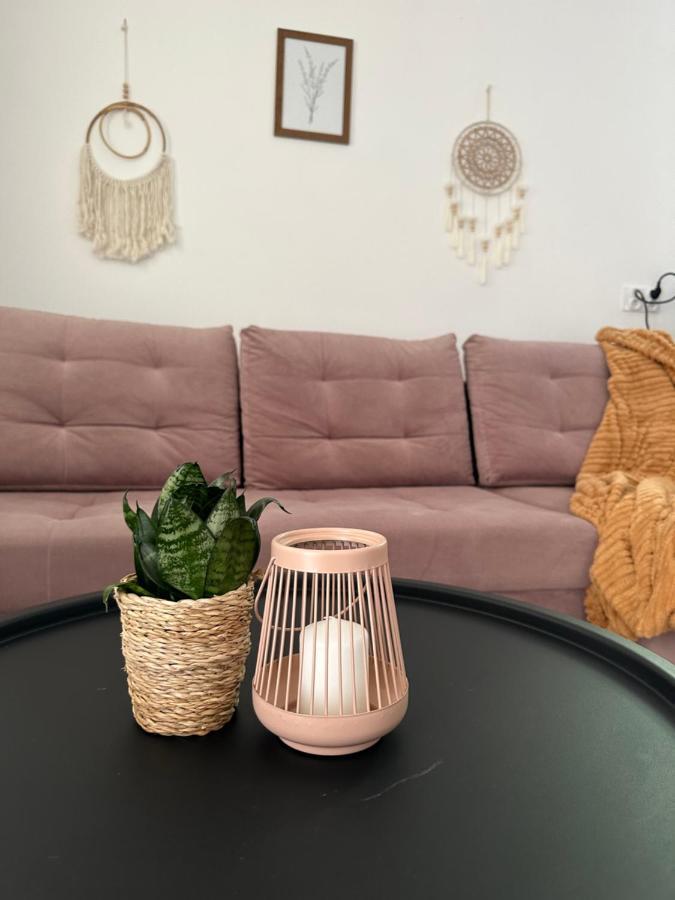 Mr. Sowa Sokolec Appartement Ludwikowice Kłodzkie Buitenkant foto
