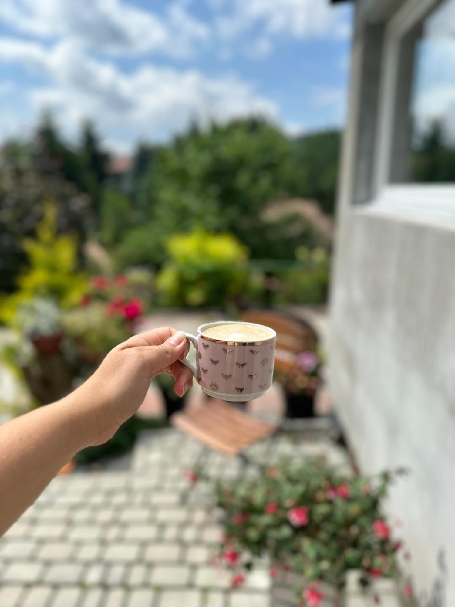 Mr. Sowa Sokolec Appartement Ludwikowice Kłodzkie Buitenkant foto