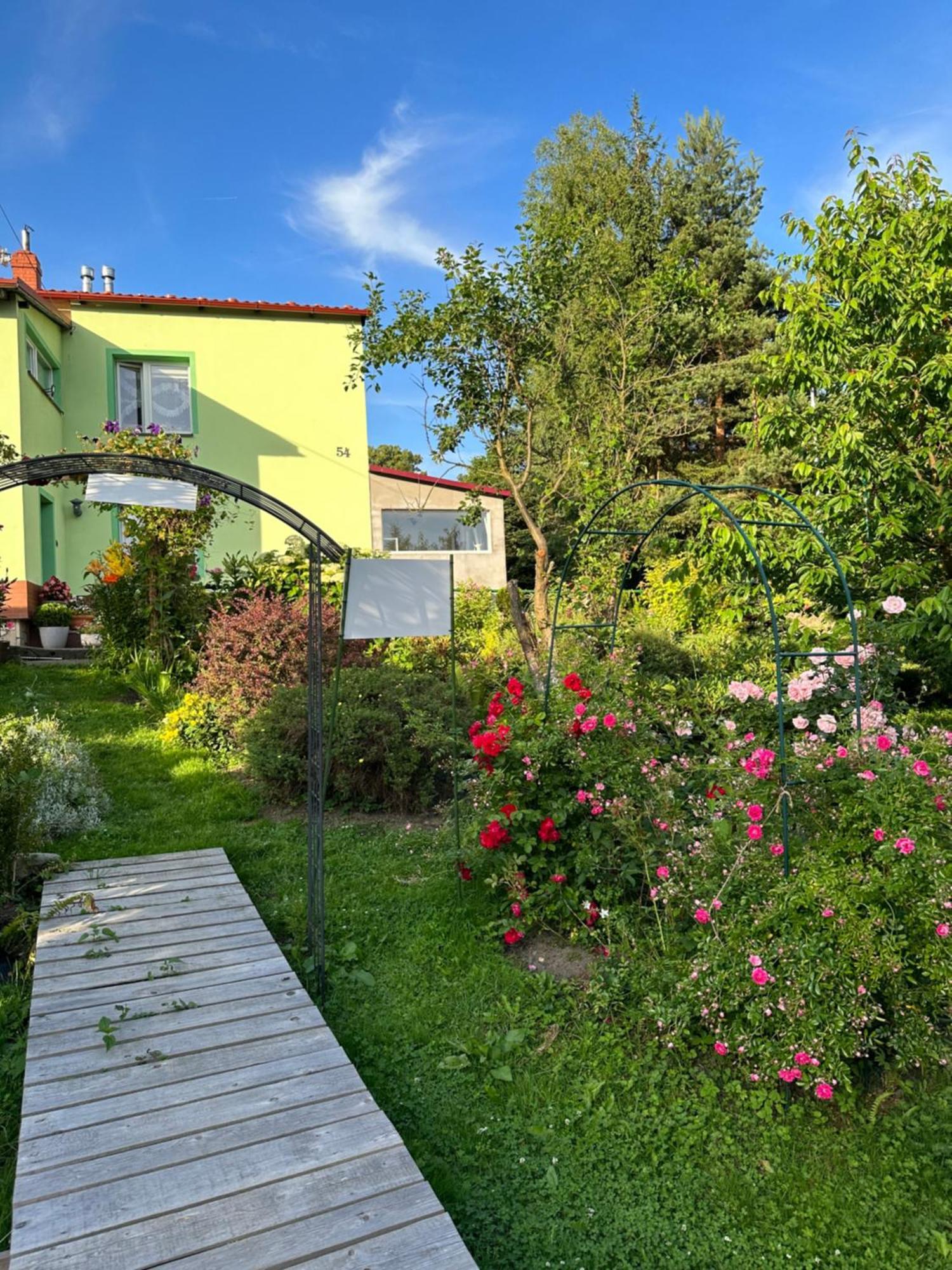 Mr. Sowa Sokolec Appartement Ludwikowice Kłodzkie Buitenkant foto