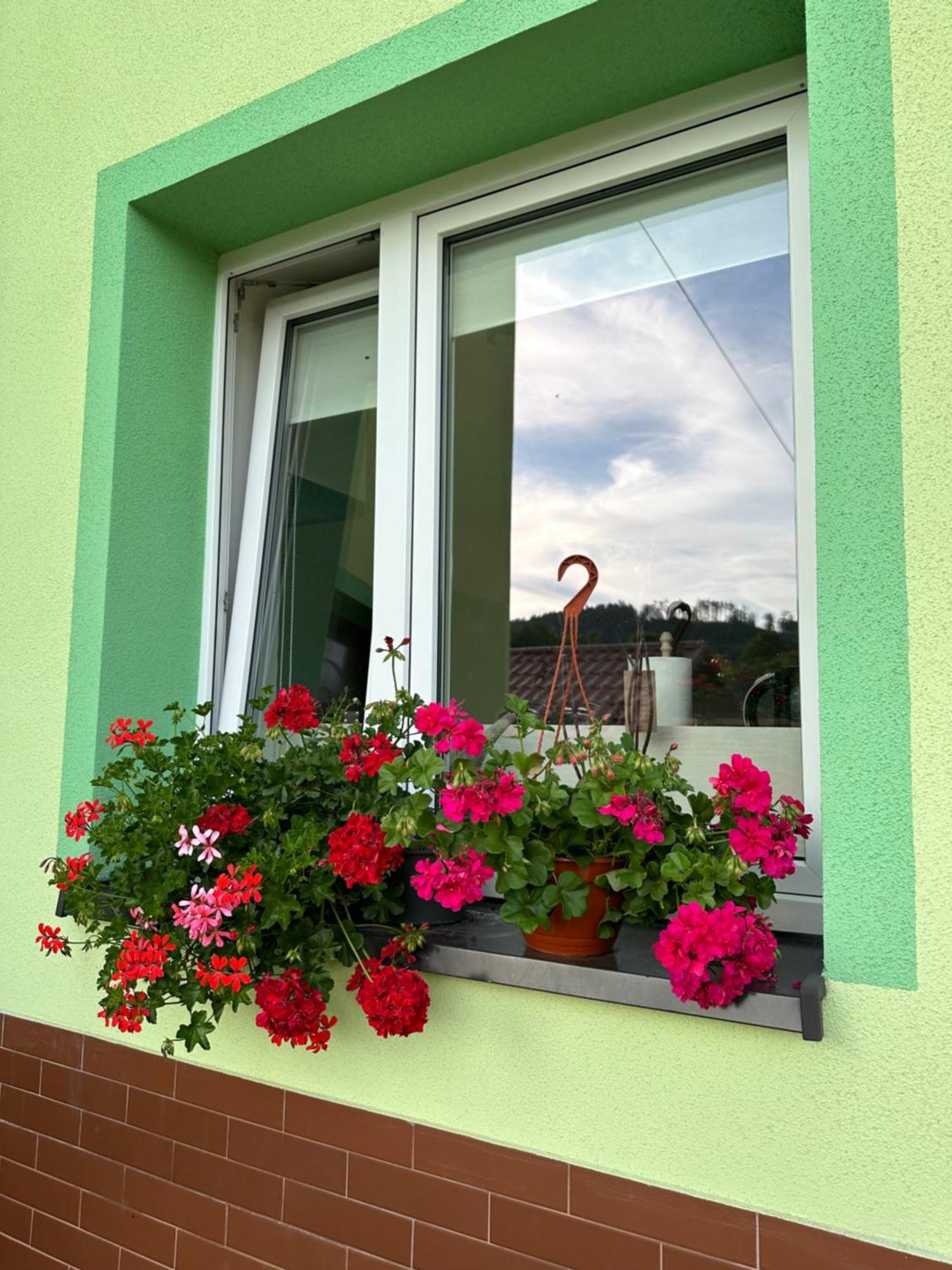Mr. Sowa Sokolec Appartement Ludwikowice Kłodzkie Buitenkant foto