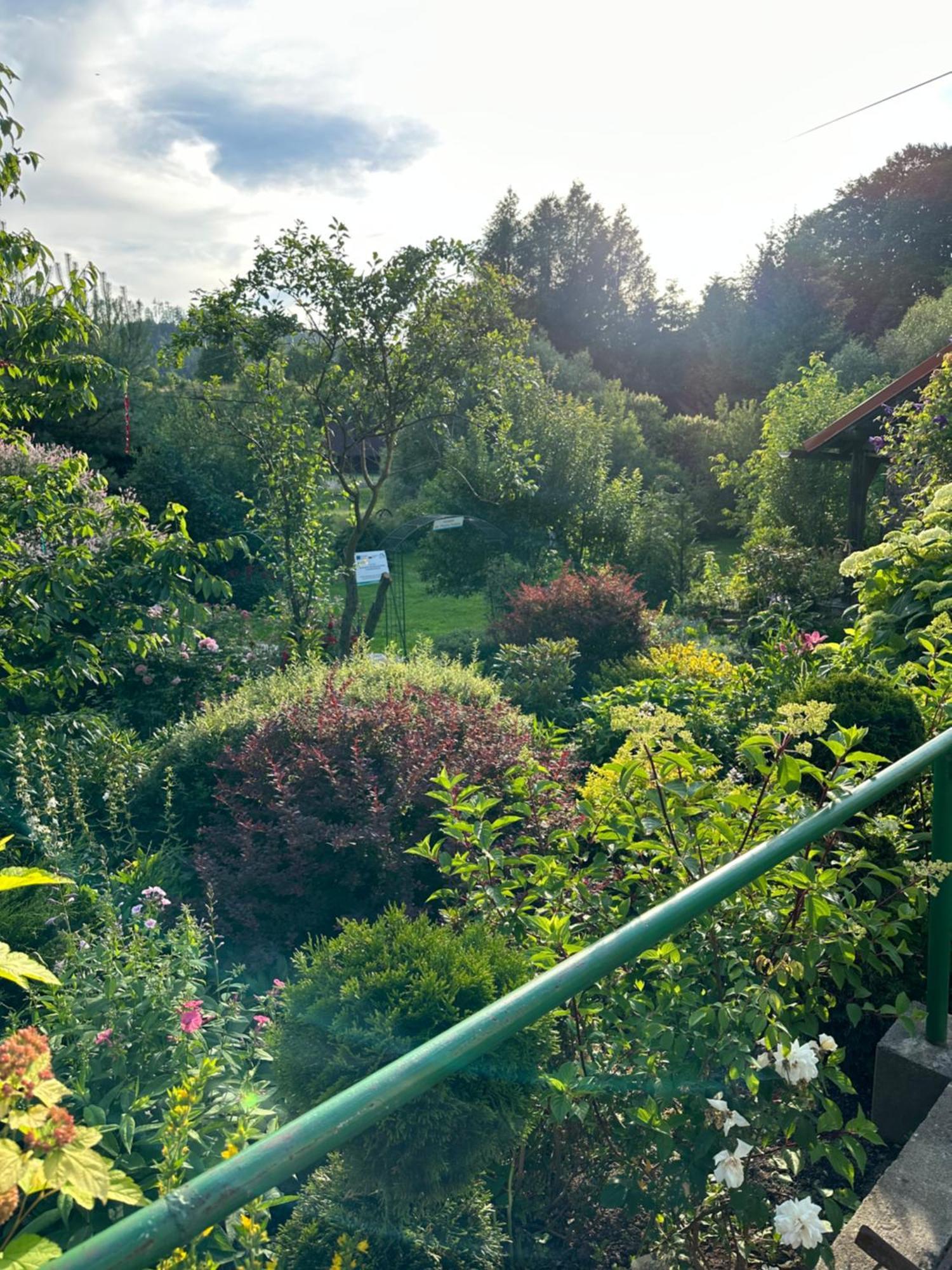 Mr. Sowa Sokolec Appartement Ludwikowice Kłodzkie Buitenkant foto